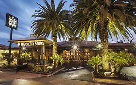 Nightcap At The Cheeky Squire